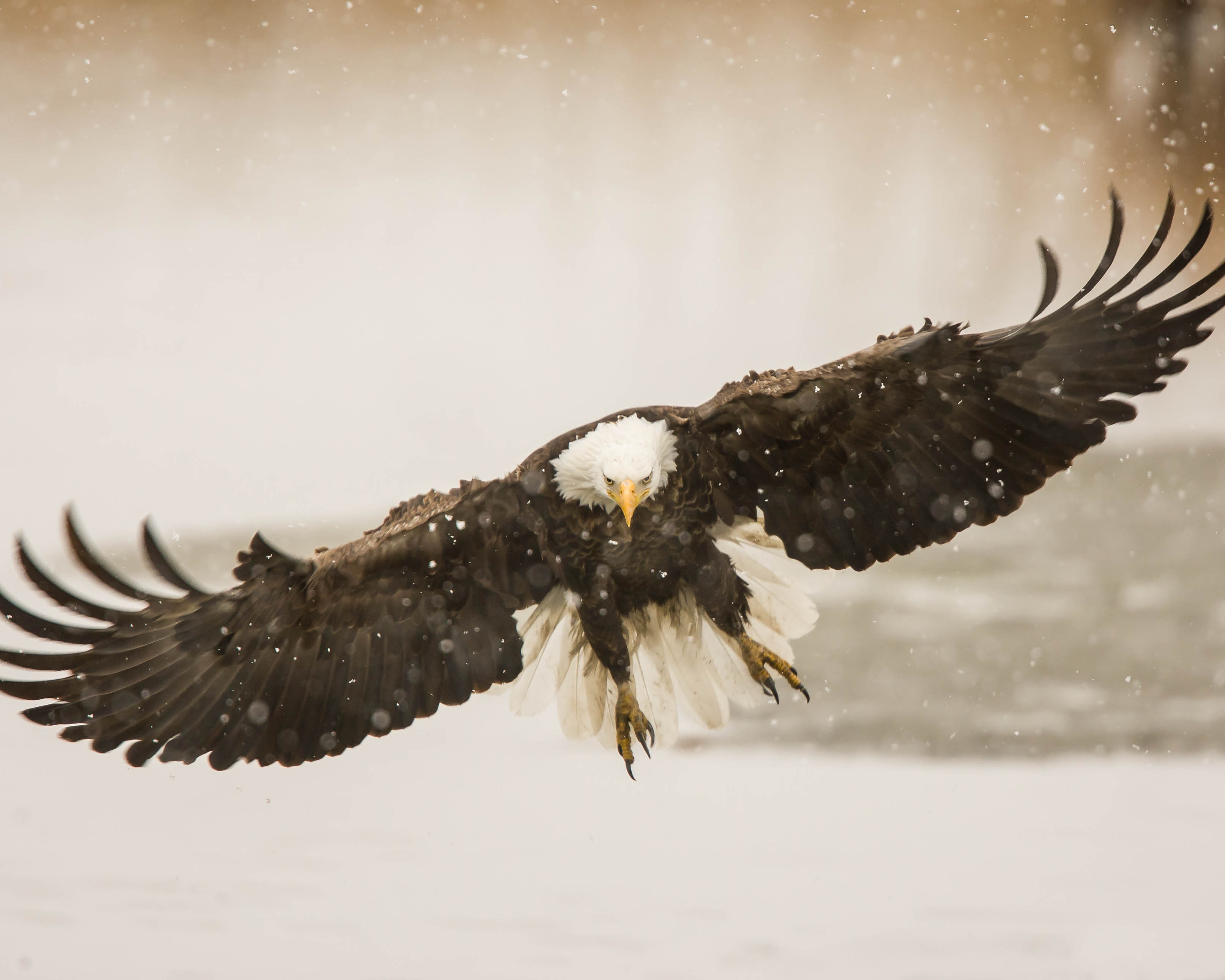 Approach in Snow